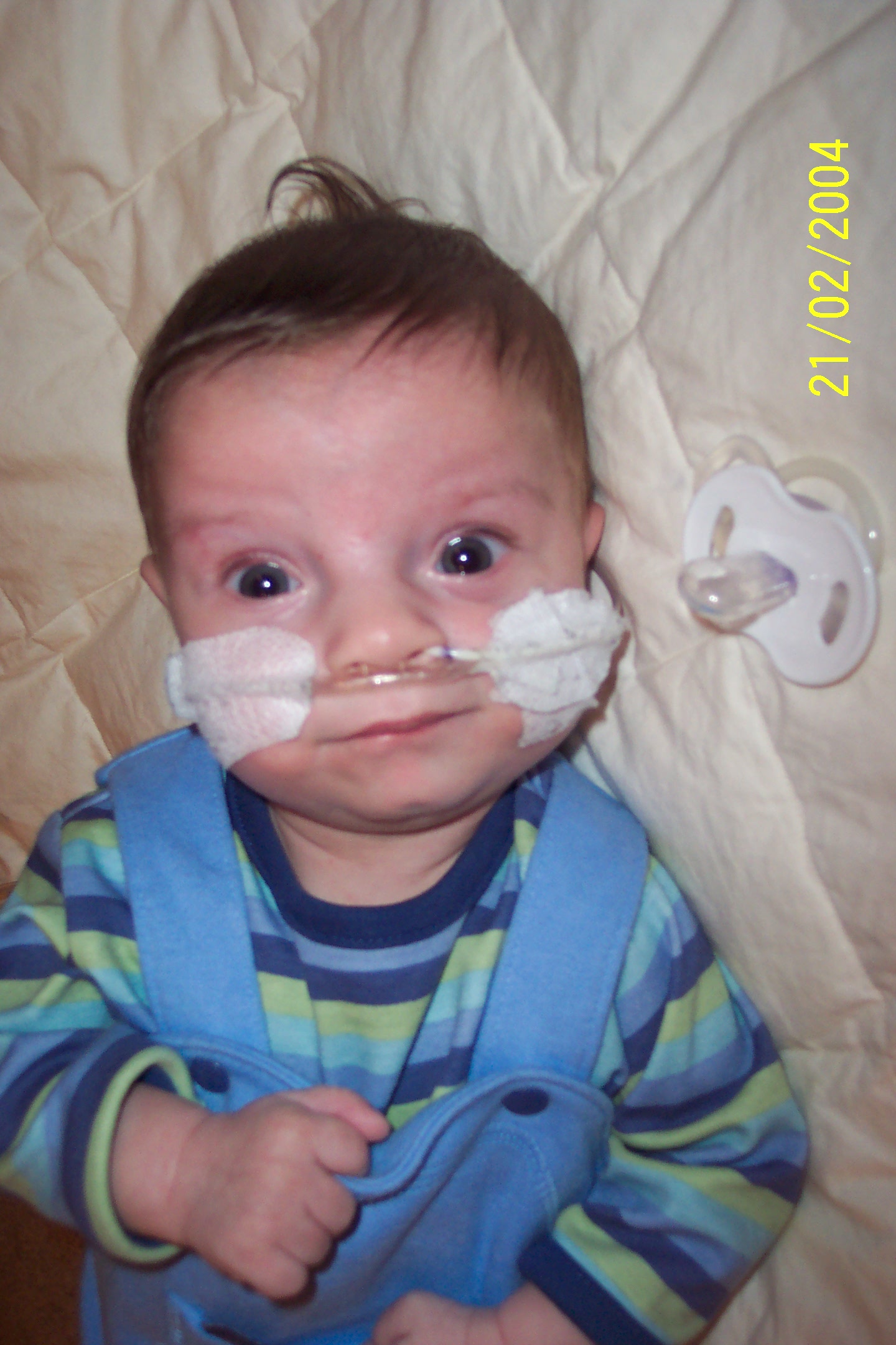 1418x2137 pixels (362K)